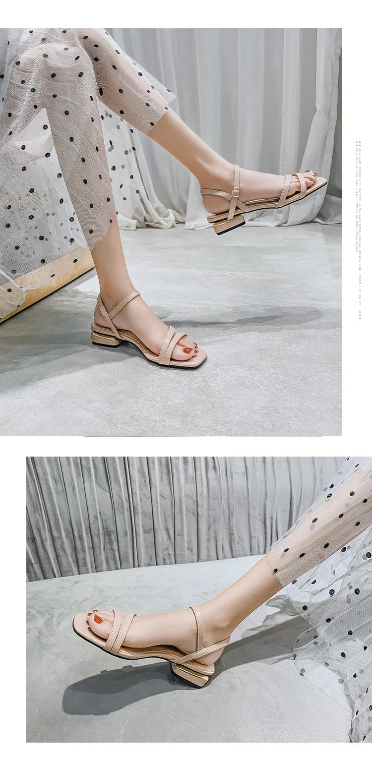 Sandals Ladies Square Heel Elegant Summer Slippers Gladiator Leather Ladies Slippers Fashion Ladies Sandals